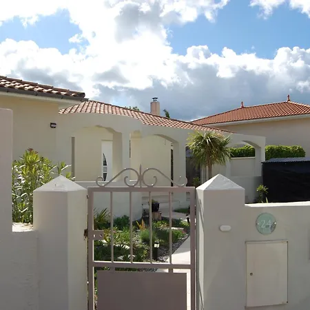 Le Temps Des Pins - Le